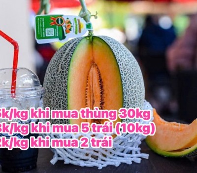 DƯA LƯỚI ĐẾ MẬT AN TOÀN GREENSPACE 