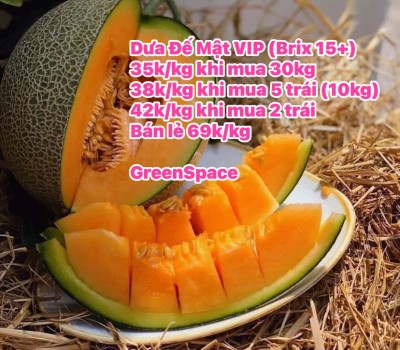 Dưa Lưới Đế Mật an toàn VIP GreenSpace