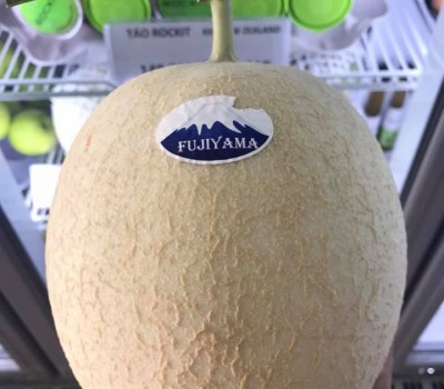 DƯA LƯỚI NHẬT HỮU CƠ FUJI