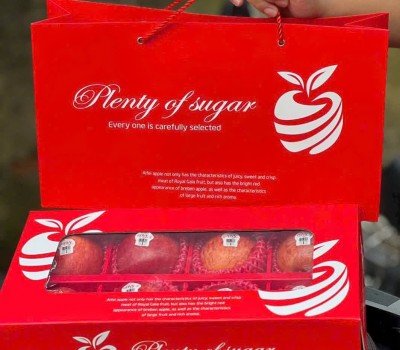 HỘP QUÀ TÁO ENVY NEW ZEALAND 8 TRÁI TƯƠI NGON
