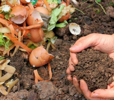 KHÁI NIỆM CHẤT HỮU CƠ VÀ PHÂN HỮU CƠ