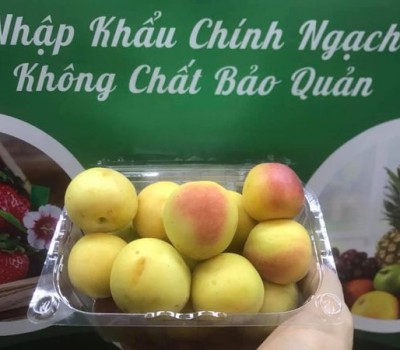 MƠ THỔ NHỸ KỲ