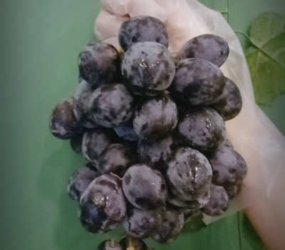 Nho Đen Cao Cấp ChiLê