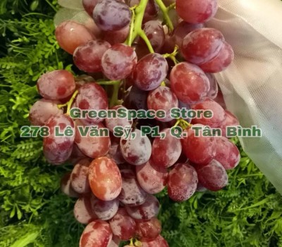 NHO ĐỎ CRIMSON SEEDLESS