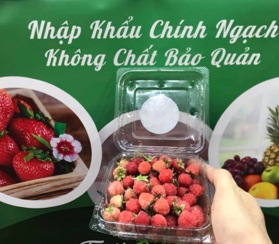 PHÚC BỒN TỬ ĐỎ SẠCH