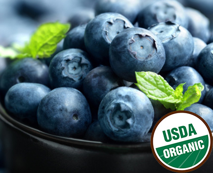 Việt Quất Organic Mỹ
